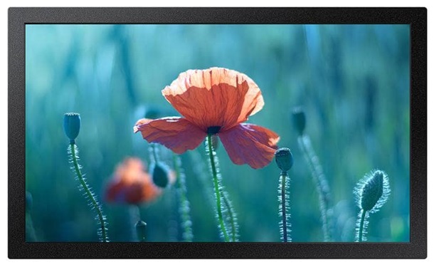 Samsung Smart Signage 13 Inch [QB13]