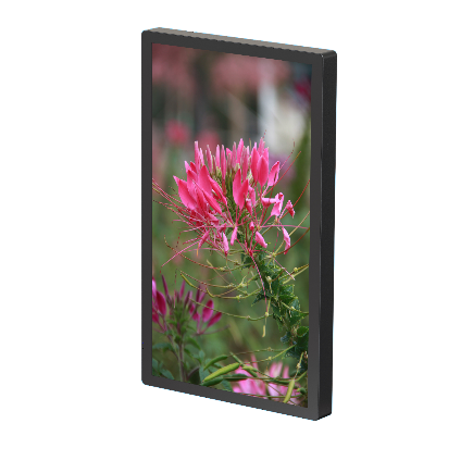 DigiSIGN Lift Display 22 Inch